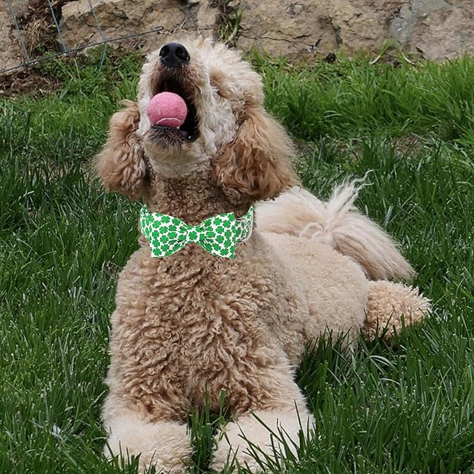 Unique Style Paws St. Patrick's Dog Collar with Bow Green Clover Cotton Puppy Collars Wedding Navigation for Small Medium Large Dogs
