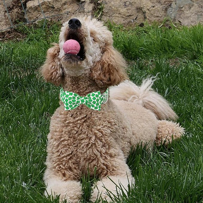 Unique Style Paws St. Patrick's Dog Collar with Bow Green Clover Cotton Puppy Collars Wedding Navigation for Small Medium Large Dogs
