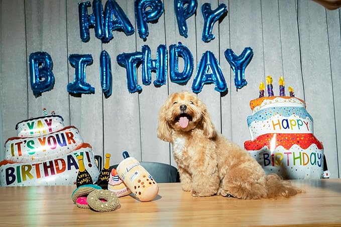Birthday Bone Interactive Dog Toy - Interactive Tug Rope Pet Toy - Cute Unique Design Party Birthday Gift - Small Medium Puppy - Durable Chew Resistant Plush with Squeaker for Teething (Pink)