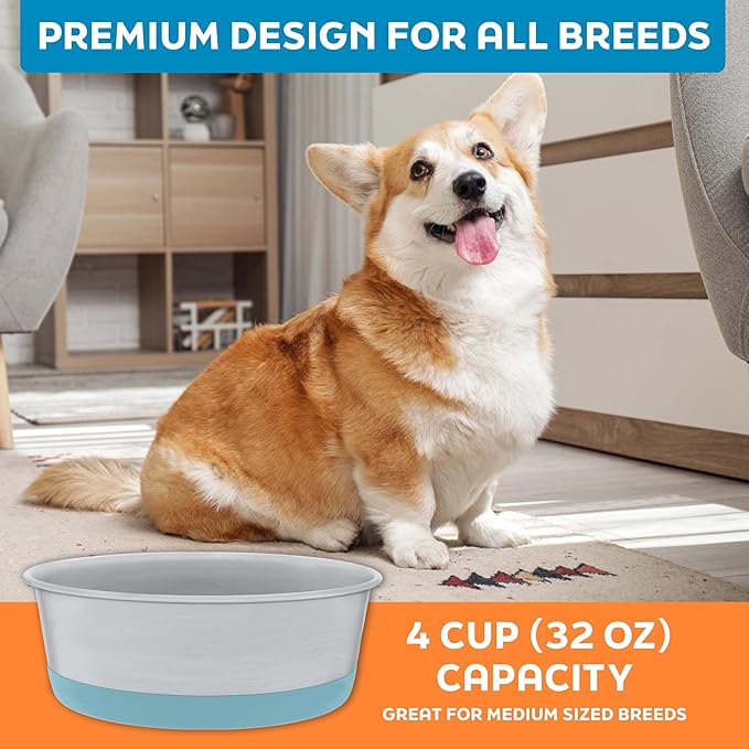 Master Pet Supply Stainless Steel Dog Bowls Set of 2 with Extra Thick Silicone Base - 4 Cup (32 oz) Aqua Sky, Non-Slip, Dishwasher Safe Metal Bowls, Pet Dog Food Bowl for Dogs, Cats, Anti Rust