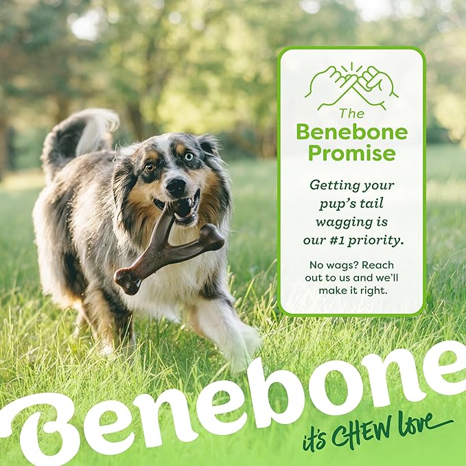 Benebone Wishbone Durable Dog Chew Toy for Aggressive Chewers, Real Chicken, Made in USA, Small, for Any breed
