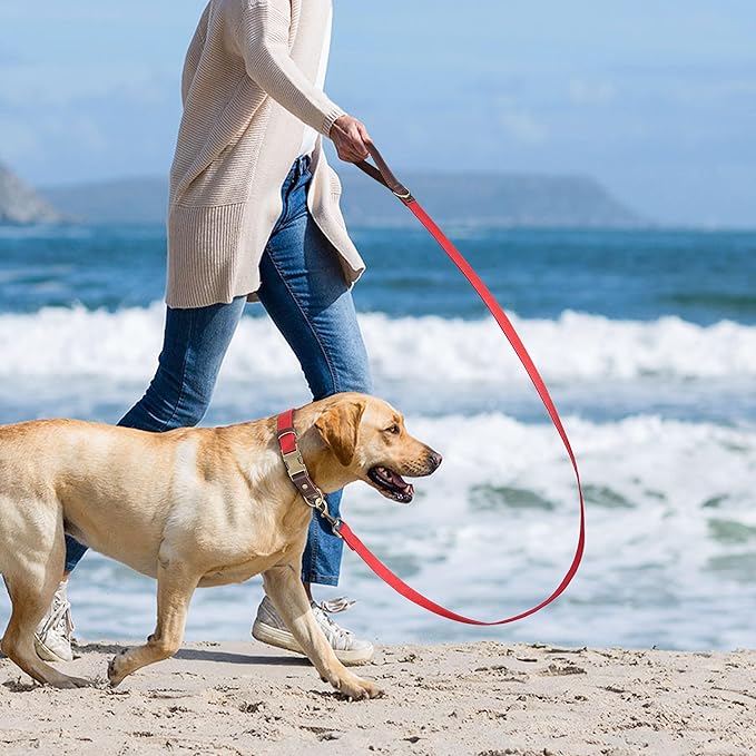 Didog PU Leather Dog Leash for Small Dogs 4.5ft, Soft Padded Handle Dog Leashes for Medium Size, Walking and Training Leashes Faux Leather for Large Pet,Red
