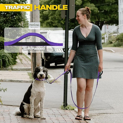 Fida 4 FT Heavy Duty Dog Leash with 2 Comfortable Padded Handles, Traffic Handle & Advanced Easy Snap Hook, Reflective Walking Lead for Large, Medium & Small Breed Dogs, Purple