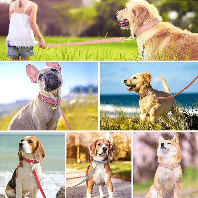 Beirui Soft Padded PU Leather Dog Collar and Leash Set, Durable Dog Leash and Collar Set with Metal Buckle, Breathable Pet Collars with 4FT Leash for Small Dogs（Red, Neck 11-15"