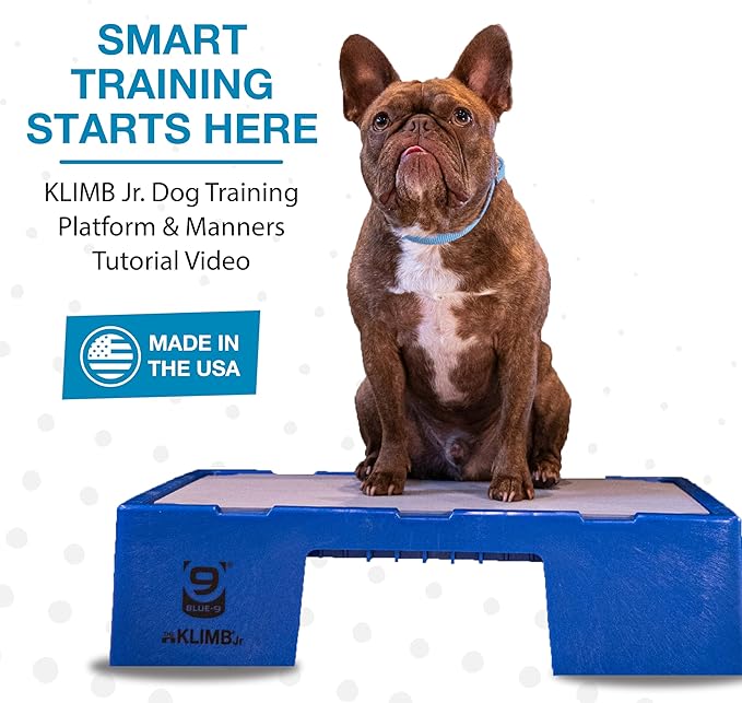 Blue-9 KLIMB Jr. Professionally Designed Dog Training Platform and DIY Guide for Behavior Basics, Made in The USA, Blue