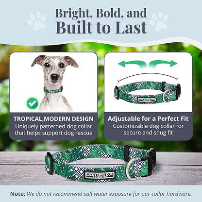 Lucky Love Dog Collar and Leash Set, Beautiful & Vivid Patterns, Easy On & Off Clasp Accessory (Blue Laguna, M Combo)