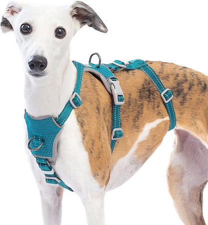 Huntboo Escape Proof Dog Harness – No Pull, No Slip, Fully Reflective, Adjustable 7-Point Design for Small, Medium, and Large Dogs – Lightweight for Outdoor Training & Hiking (Teal, L)