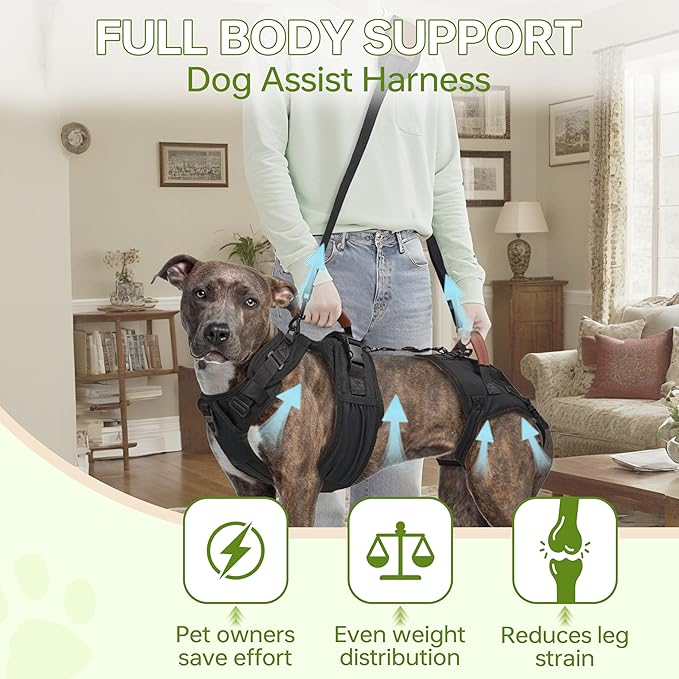 Dog Lift Harness for Male Dogs - 2-in-1 Full Body Support Aid & Sling, Comfortable & Chafe-Free for Post-Surgery Recovery and Elderly Dog Mobility, Hind Leg Assistance, Supports up to 40 Lbs (M)