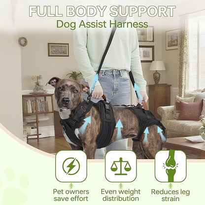 Dog Lift Harness for Male Dogs - 2-in-1 Full Body Support Aid & Sling, Comfortable & Chafe-Free for Post-Surgery Recovery and Elderly Dog Mobility, Hind Leg Assistance, Supports up to 40 Lbs (M)