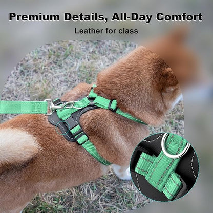 Plutus Pet Adjustable No Pull Dog Harness with Leather Accents, Heavy Duty Reflective Nylon Vest for Training, Hiking, Easy Walk Harness for Small, Medium, Large Dogs (Teal, L)
