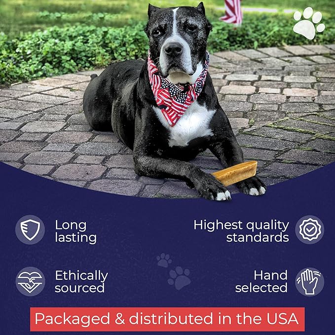 Devil Dog Pet Co. Himalayan Yak Cheese Dog Chews, Medium - 4 Pack, 100% Natural & Healthy, Lactose-Free, Long-Lasting Dog Treats, Premium Yak Milk Chew Bones for Dogs
