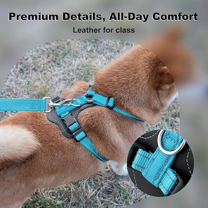 Plutus Pet Adjustable No Pull Dog Harness with Leather Accents, Heavy Duty Reflective Nylon Vest for Training, Hiking, Easy Walk Harness for Small, Medium, Large Dogs (Light Blue, L)