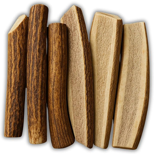 WhiteTail Naturals Premium Split Elk & Red Deer Antlers for Dogs (6 Pack) Naturally Shed Elk Antler Chews with Exposed Marrow – Safe & Mess-Free for Medium to Large Breeds