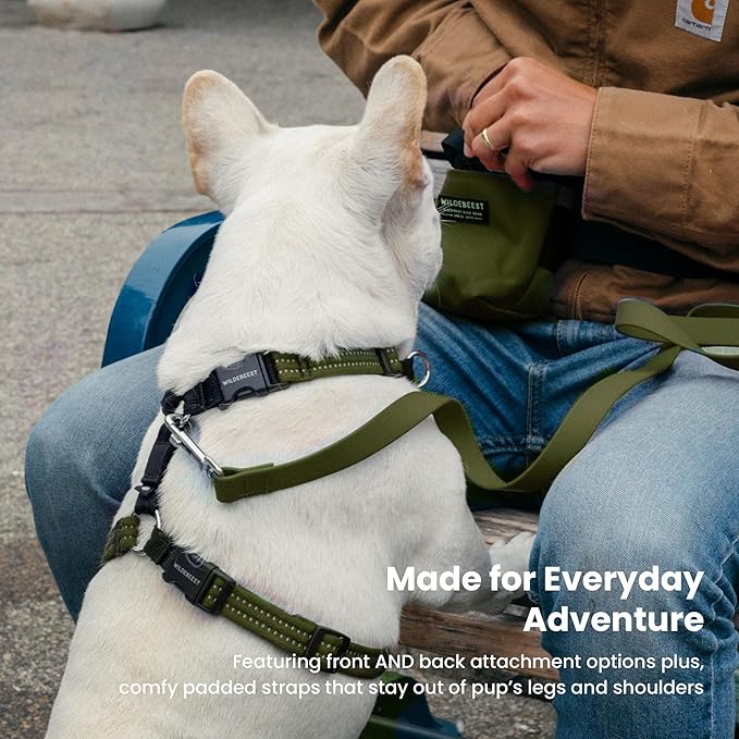 Wildebeest Valencia No Pull Dog Harness | Front and Back Leash Clips | Soft Padded Straps | Lightweight, Adjustable, Easy On/Off for Training and Dog Walking | Small Olive