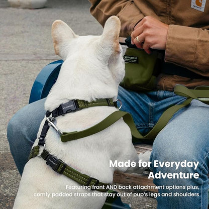 Wildebeest Valencia No Pull Dog Harness | Front and Back Leash Clips | Soft Padded Straps | Lightweight, Adjustable, Easy On/Off for Training and Dog Walking | Medium Olive