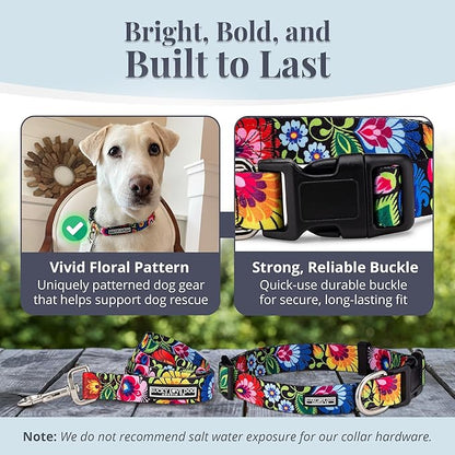 Lucky Love Dog - Easy Click Buckle Dog Collar with Leash Set Combo, Durable & Comfortable for Male & Female Dogs, Pet Collar for Small to Large Dogs, Secure Fit - Blackbird Combo, Small