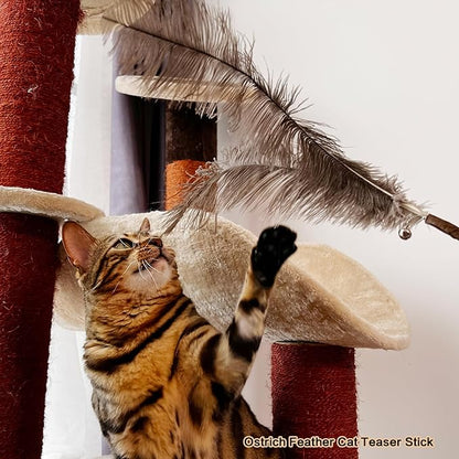 TTcat Cat Wand Toys Natural Huge Feather Stick Toys,3 Pcs Extra Long Teaser Sticks with Different Feathers (Ostrich, Peacock, Chicken),Interactive Toys for Indoor Cat and Kitten.