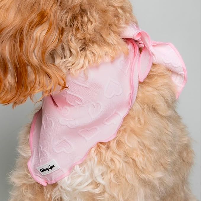 Medium Dog Harness Set – Cute No Pull, All Weather, Breathable Harness and Leash Set with Collar, Bandana, Sailor Bow & Poop Bag Holder – Adjustable, Soft & Stylish – Pink Hearts on Jacquard Fabric