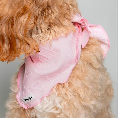 Medium Dog Harness Set – Cute No Pull, All Weather, Breathable Harness and Leash Set with Collar, Bandana, Sailor Bow & Poop Bag Holder – Adjustable, Soft & Stylish – Pink Hearts on Jacquard Fabric