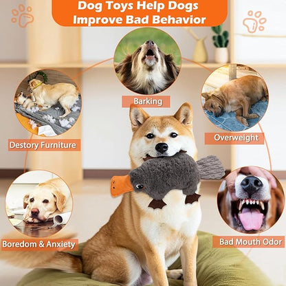 Platypus Dog Toy, Squeaky Interactive Plush Toy with Realistic Sound, Crinkle Paper, Soft & Durable for Indoor or Outdoor Tug of War, Training Reward for Small Medium Large Dogs