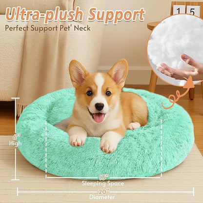 JOLLYVOGUE Calming Small Dog & Cat Bed for Indoor Cats - 20 inches Washable Donut Bed for Kittens & Puppies, Anti-Anxiety Round Fluffy Plush Pet Beds (Fits up to 15 lbs, Mint Green)