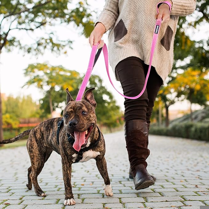 PetiFine 4FT Heavy Duty Dog Leash with Soft Padded Double Handle, Durable Strong Clasp Dog Leashes, Reflective Nylon Walking Lead for Large,Medium,Small Breed Dogs, Pink