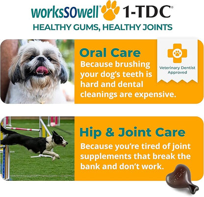 1TDC WorksSoWell Dual Action Hip and Joint Supplement for Dogs & Cats - for Large & Small Breed - Great for Oral Health, Stamina Recovery & Arthritis Pain Relief -60 ct