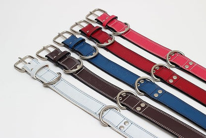 Premium Leather Collars with Stainless Steel Buckles (21"-24", White)
