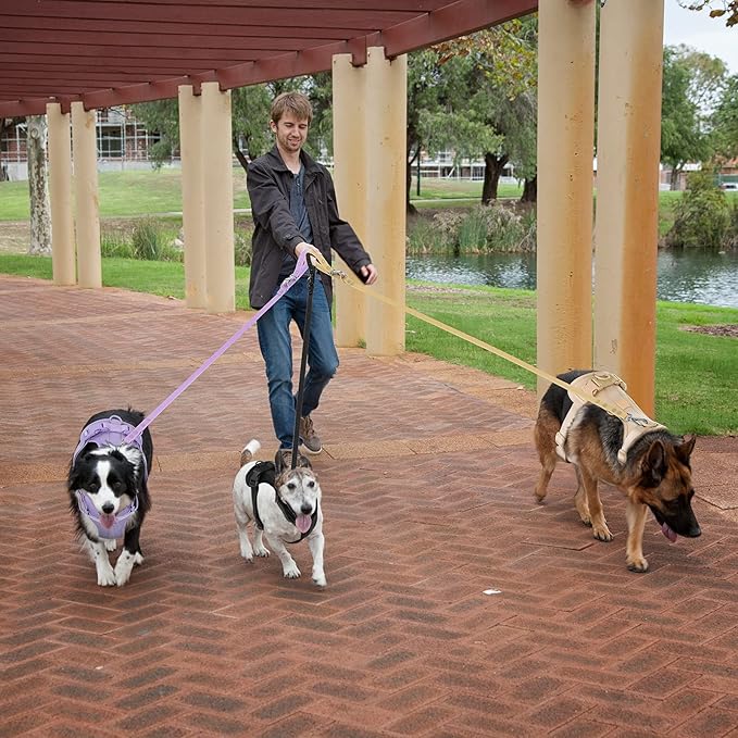 No Pull Lightweight Dog Harness: Adjustable Durable Breathable Mesh Pet Vest Harness with Soft & Comfortable Cushion, for Small Medium Large Dogs (Lilac, L)