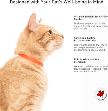 Rubber Cat Collar - Soft, Comfortable, and Lightweight Breakaway Collar with Name Tag Ring for Outdoor Cats and Sensitive Skin Kittens by Nuvuq (6 ⅞" to 10 ¼", Orange)