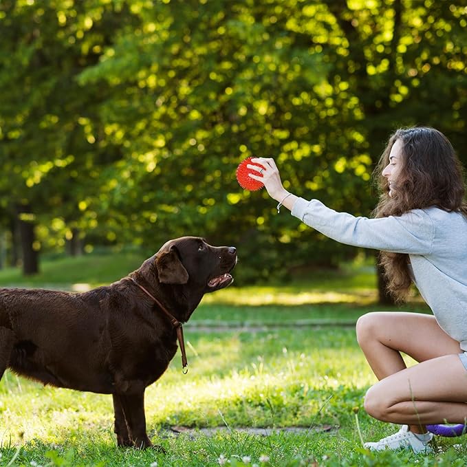 Ousiya 3.5” Squeaky Dog Toy Balls (6 Colors) Dog Toys Spikey Dogs Ball for Aggressive Chewers Heavy Duty Teething Large Medium Durable Dogs Balls
