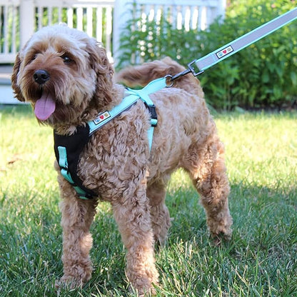 Pawtitas Personalized Pink Dog Leash 6 ft Custom ID Lead for Dogs & Puppies Reflective Comfortable Padded Handle Embroidered Name & Phone Number