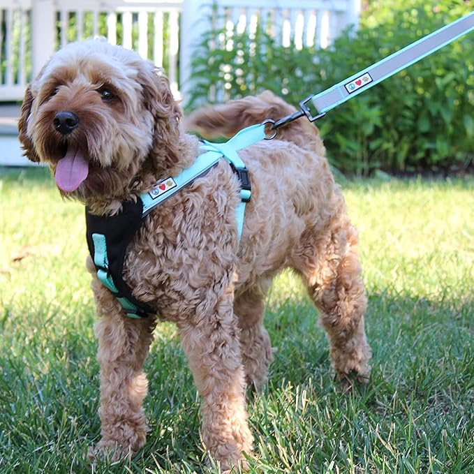 Pawtitas Personalized Camo Pink Dog Leash 6 ft Custom ID Lead for Dogs & Puppies Reflective Comfortable Padded Handle Embroidered Name & Phone Number