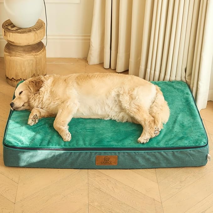 LIORCE Orthopedic Memory Foam XXL Dog Bed - 6" Thick Beds for Extra Large Sized Dog - Waterproof Removable Washable Cover & Wrap-Around Zipper - Ultimate Comfort & Easy Maintenance, Green