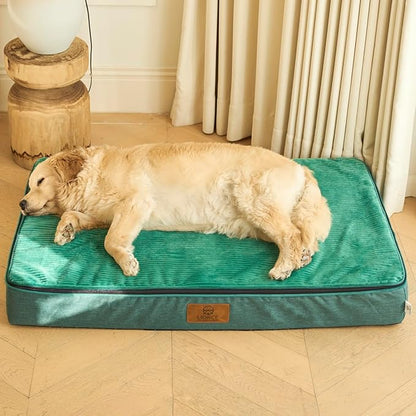 LIORCE Orthopedic Memory Foam XXL Dog Bed - 6" Thick Beds for Extra Large Sized Dog - Waterproof Removable Washable Cover & Wrap-Around Zipper - Ultimate Comfort & Easy Maintenance, Green