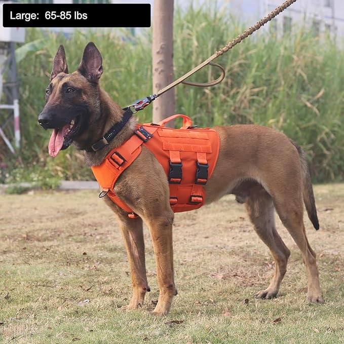 ICEFANG GN3 Tactical Dog Harness with 6X Buckle,Dog Molle Vest with Handle,3/4 Body Coverage,Hook and Loop Panel for ID Patch,No Pulling Front Clip (L (28"-35" Chest), Orange)