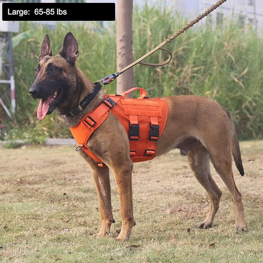 ICEFANG GN3 Tactical Dog Harness with 6X Buckle,Dog Molle Vest with Handle,3/4 Body Coverage,Hook and Loop Panel for ID Patch,No Pulling Front Clip (L (28"-35" Chest), Orange)