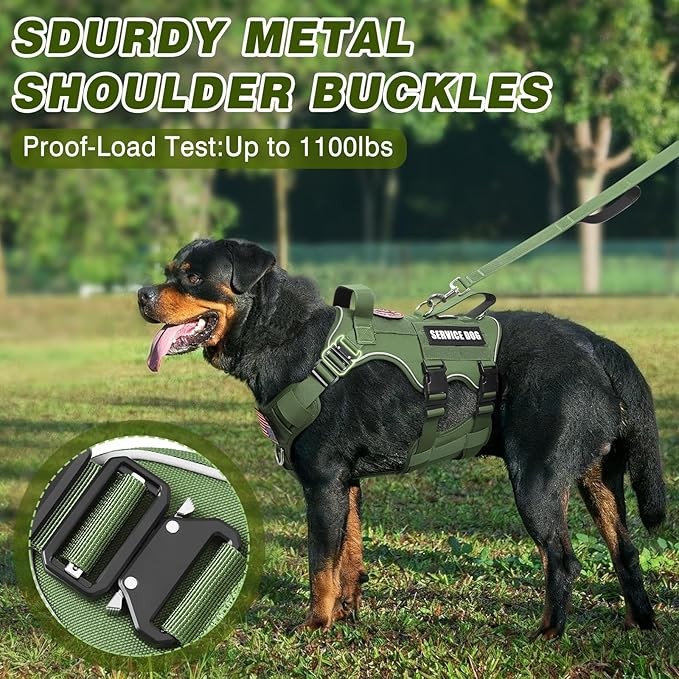 Service Dog in Training Vest and Leash Set with 10 Patches,Heavy Duty Tactical Dog Harness with Metal Buckles for Large Dogs,No Pull Easy Walking for Training Working Hiking,Green L