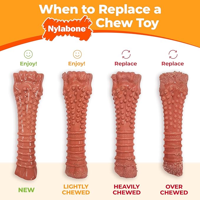 Nylabone Original Bone Power Chew Toy for Dogs, Durable Dog Toys for Aggressive Chewers, Flavor Frenzy Pancakes & Sausage, Roast Beef, & Lasagna, X-Small - Up to 15 lbs, 3 Pack