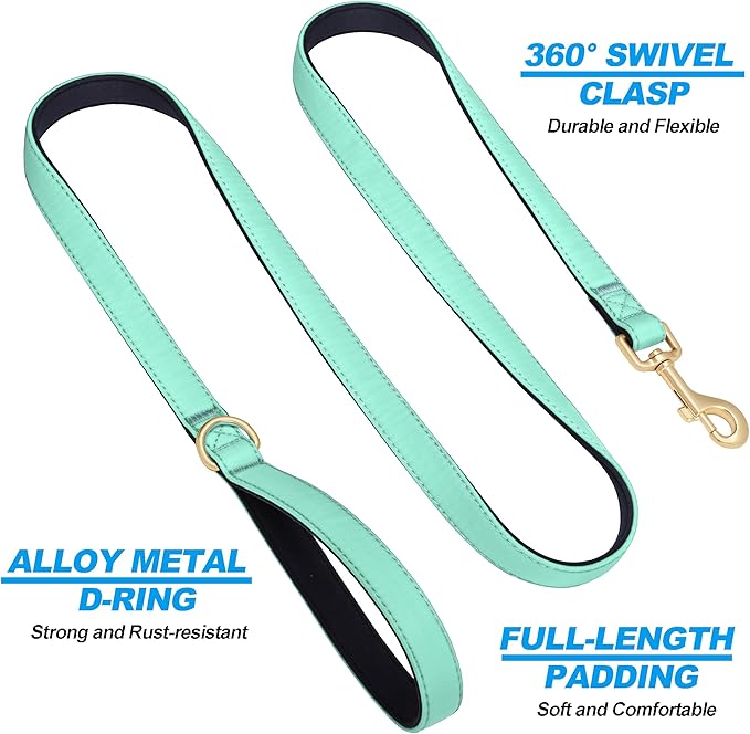 Didog 5FT Colorful Nylon Dog Leash with Soft Full-Length Padding, Lightweight and Durable Pet Leash for Small Dogs, Green, S