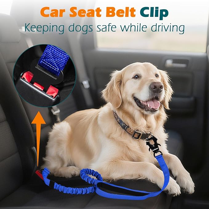 PetBonus Heavy Duty Tactical Dog Leash, 5 FT Bungee Shock Absorption Leash with 2 Padded Handles, Quick Release Metal Clip, Car Seatbelt, No Pull Training Lead for Large Medium Dogs（Blue）