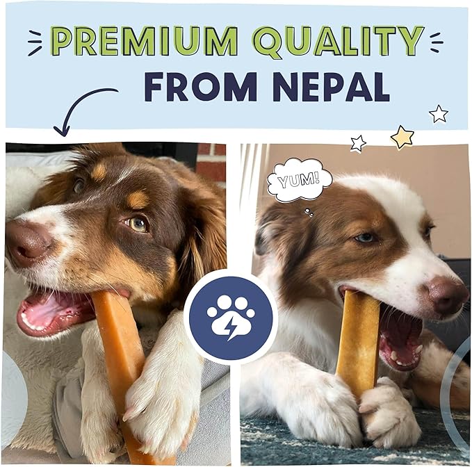 Pawstruck Large Himalayan Yak Cheese Chews for Dogs - Premium Long Lasting Natural Treat for Aggressive Chewers Limited Ingredient - Pack of 10 - Packaging May Vary