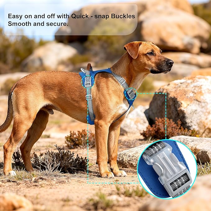 ApakBak No Pull Dog Harness – Adjustable Reflective Nylon Vest for Small Medium Large Dogs, Escape Proof Training Harness with Leather Control Handle, Lightweight Aluminum Hardware (Royal Blue, XL)