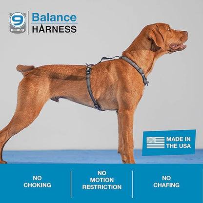 Blue-9 Reflective Buckle-Neck Balance Harness, Fully Customizable Fit No-Pull Harness with 3M Reflective Stitching, Ideal for Dog Training and Obedience, Made in The USA, Grey, Medium