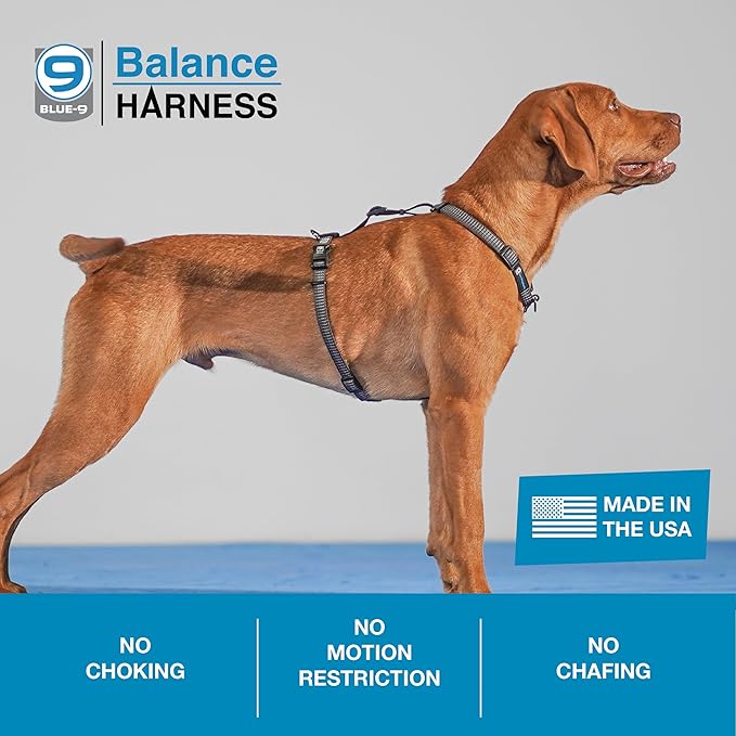 Blue-9 Reflective Buckle-Neck Balance Harness, Fully Customizable Fit No-Pull Harness with 3M Reflective Stitching, Ideal for Dog Training and Obedience, Made in The USA, Grey, Small