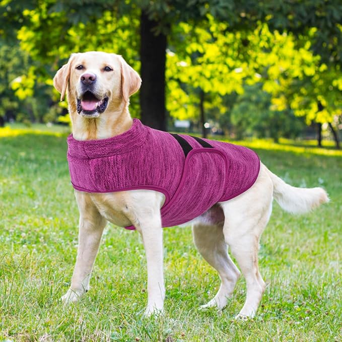 Queenmore Medium Dog Sweaters, Soft Fleece Vest Pullover Dog Jacket with Leash Hole, Warm Winter Dogs Clothes Cold Weather Doggy Dachshund Sweater for Medium Dogs Cats Boy or Girl (Cationic Berry,M)