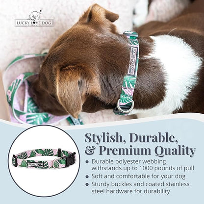 Lucky Love Dog - Adjustable Dog Collar with Easy Click Buckle for Large Ones, Durable, & Comfortable for Male & Female Dogs, Pet Collar for Puppies & Adult Dogs - Laguna, Large