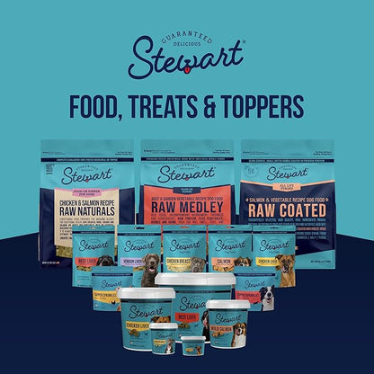 Stewart Wild Salmon Dog Treats, 2.75 oz, ~55 Pieces, Freeze Dried Raw, Single Ingredient, 65% Protein Training Treats or Meal Topper in a Resealable Tub, Grain Free, Gluten Free