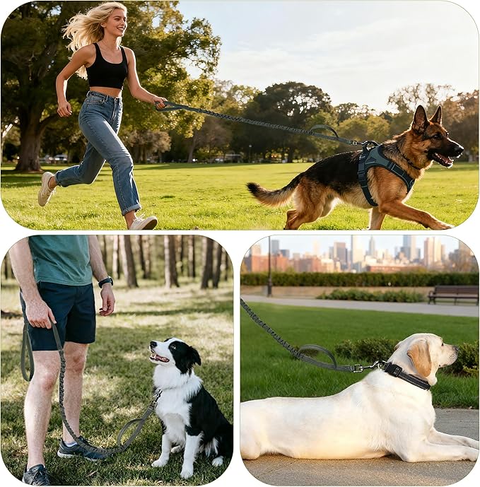 Reflective Heavy-Duty Dog Leash Adjustable 4–5 ft Shock-Absorbing Leash with Padded Handle & Traffic Handle, Equipped with 360° Tangle-Free Metal Clasp, Suitable for All Dog Sizes (Olive Green)