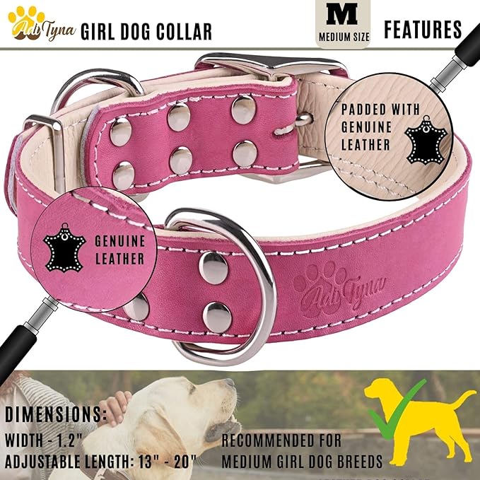 ADITYNA Heavy-Duty Pink Leather Dog Collar for Medium Dogs - Lined with Soft Leather - Girl Dog Collar for Walking, Training, and Hiking